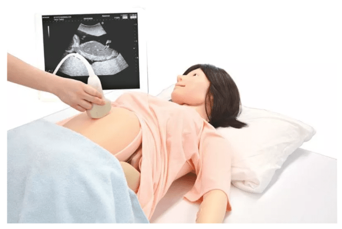 Modul für Hana - Vorgeburtliche Untersuchung - Erler - Zimmer